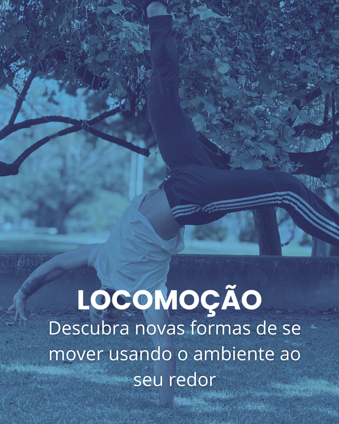 Locomoção