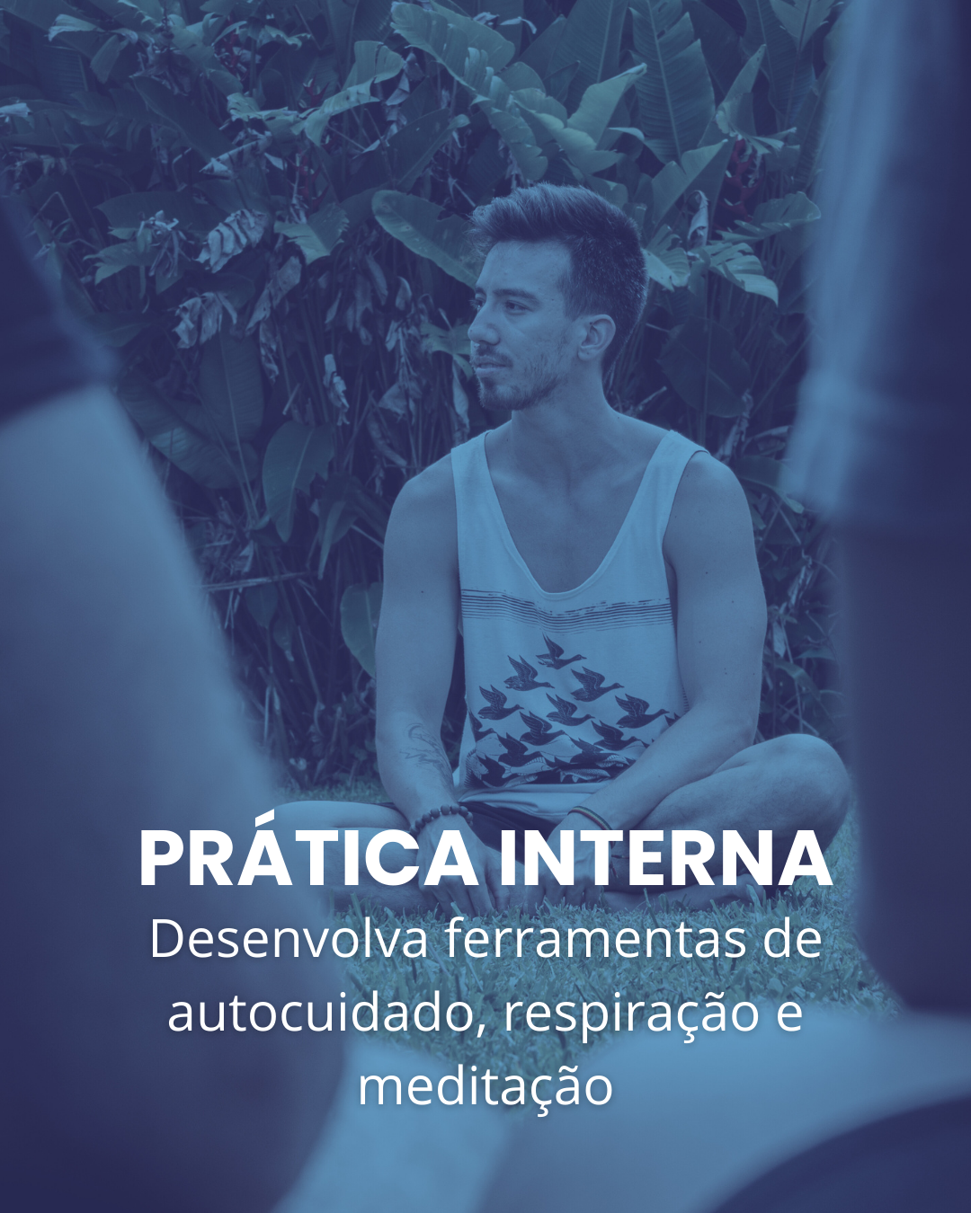 Prática interna